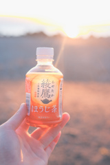 お茶