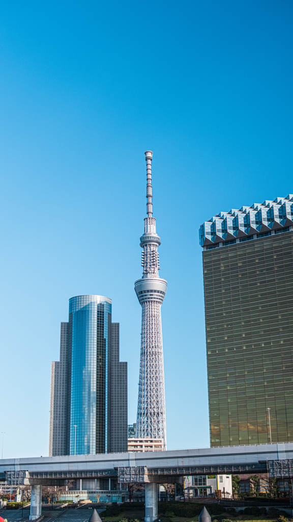 スカイツリー