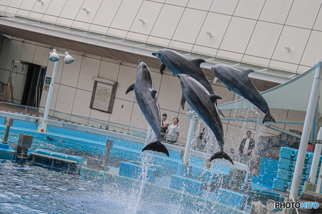 名古屋港水族館