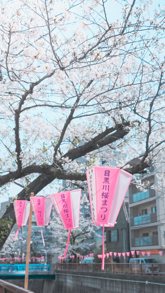 目黒川