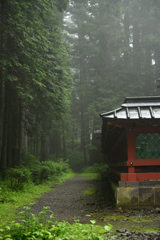 道
