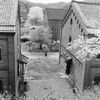 春の舞鶴 #9