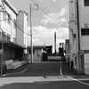 北風と太陽 #4