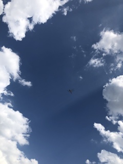 秋の気配