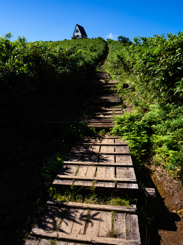 夏の氷ノ山 #9 /16
