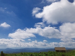 雲の高さで