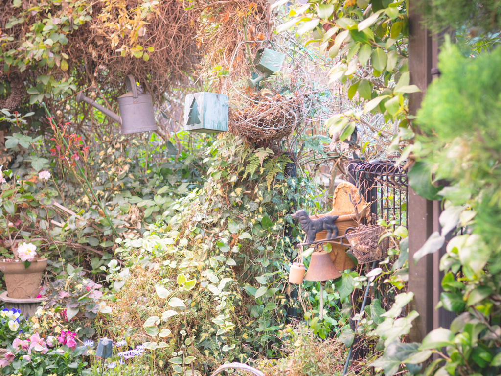 garage gardening