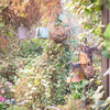garage gardening