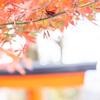 松室散歩 #7
