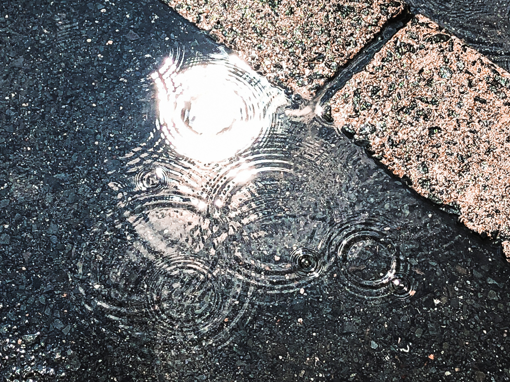 お天気雨