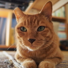 ホコリがついてます