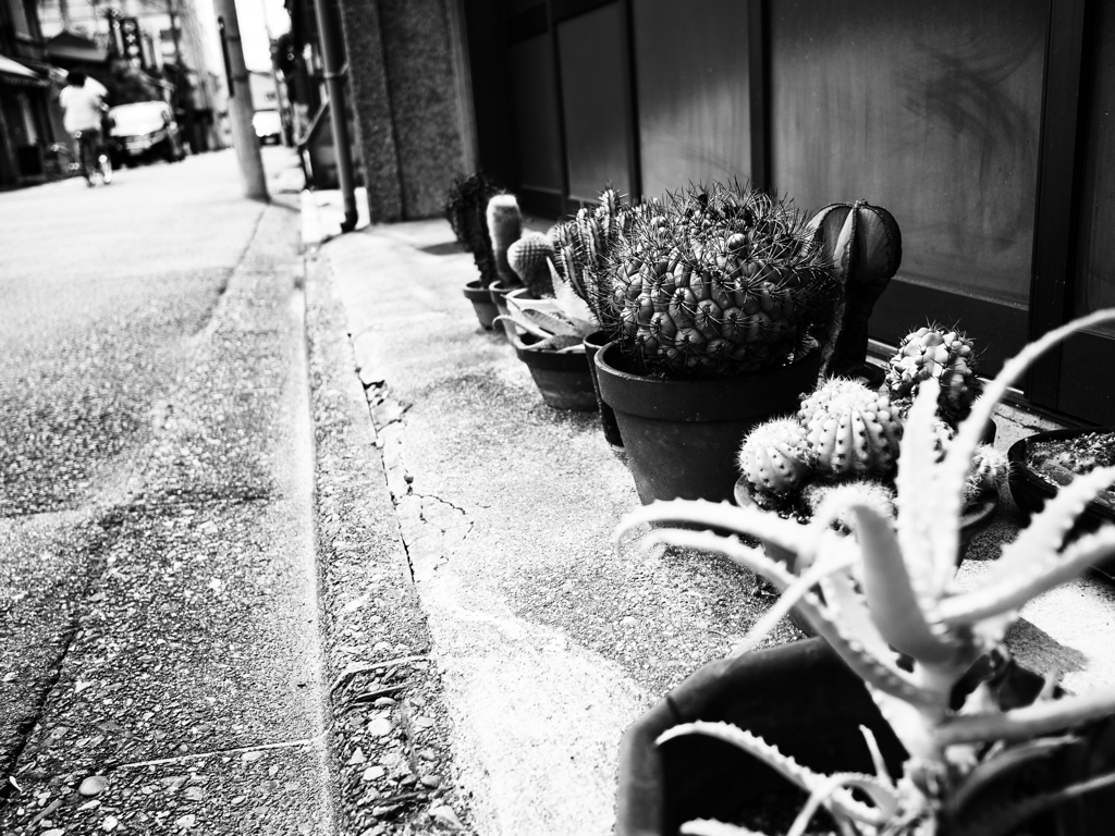 京の大路小路 #14