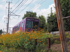 北野白梅町行き