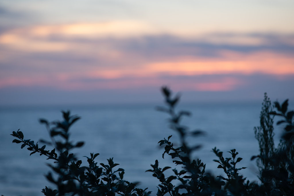 夕凪
