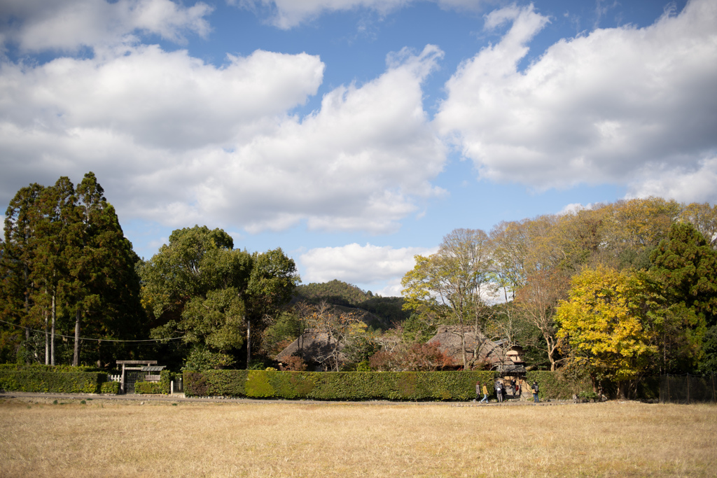 野の秋