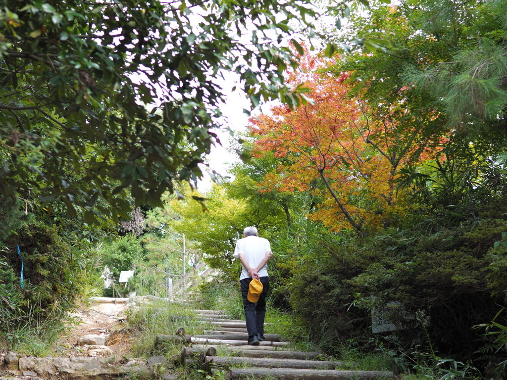 大山崎から天王山へ #6
