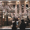 Twilight Osaka #11