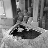 春の舞鶴 #7