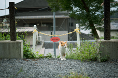 進入禁止