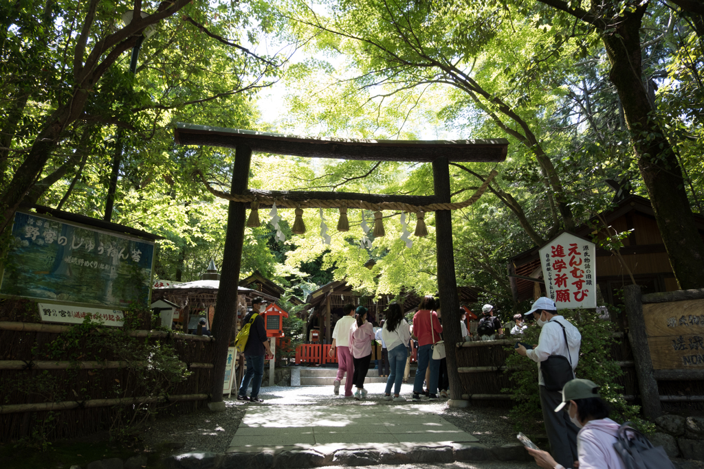 黒木鳥居