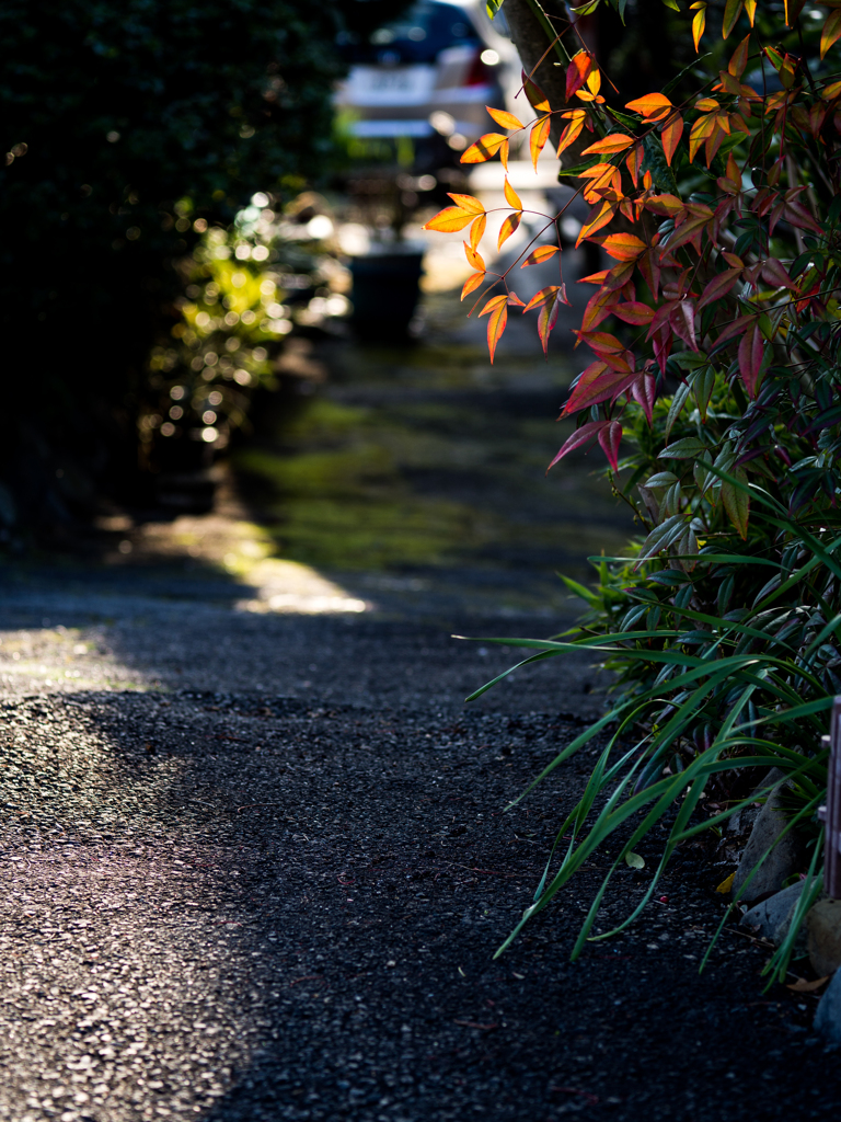 松室散歩 #17