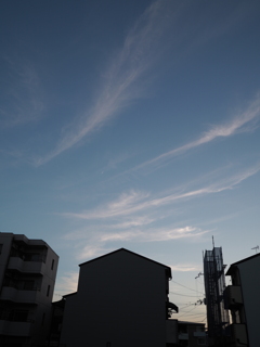 夏の夕暮れ