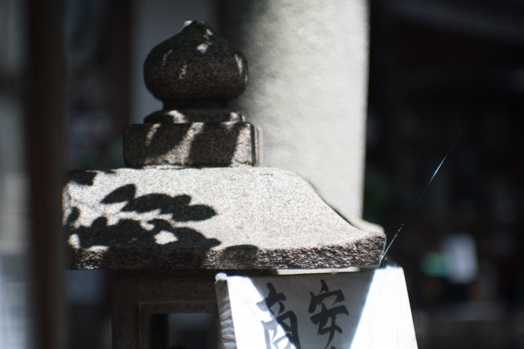 葉陰