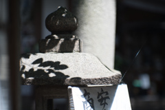 葉陰