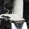 葉陰