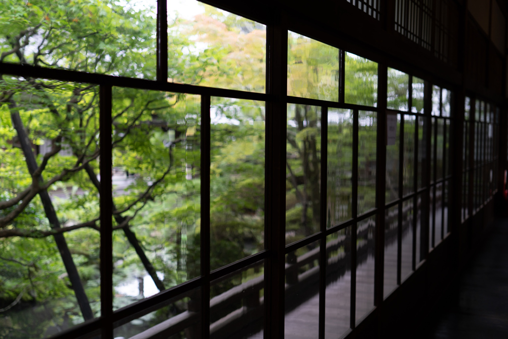 初秋の古刹 #1