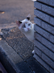 ちょっと気になる…