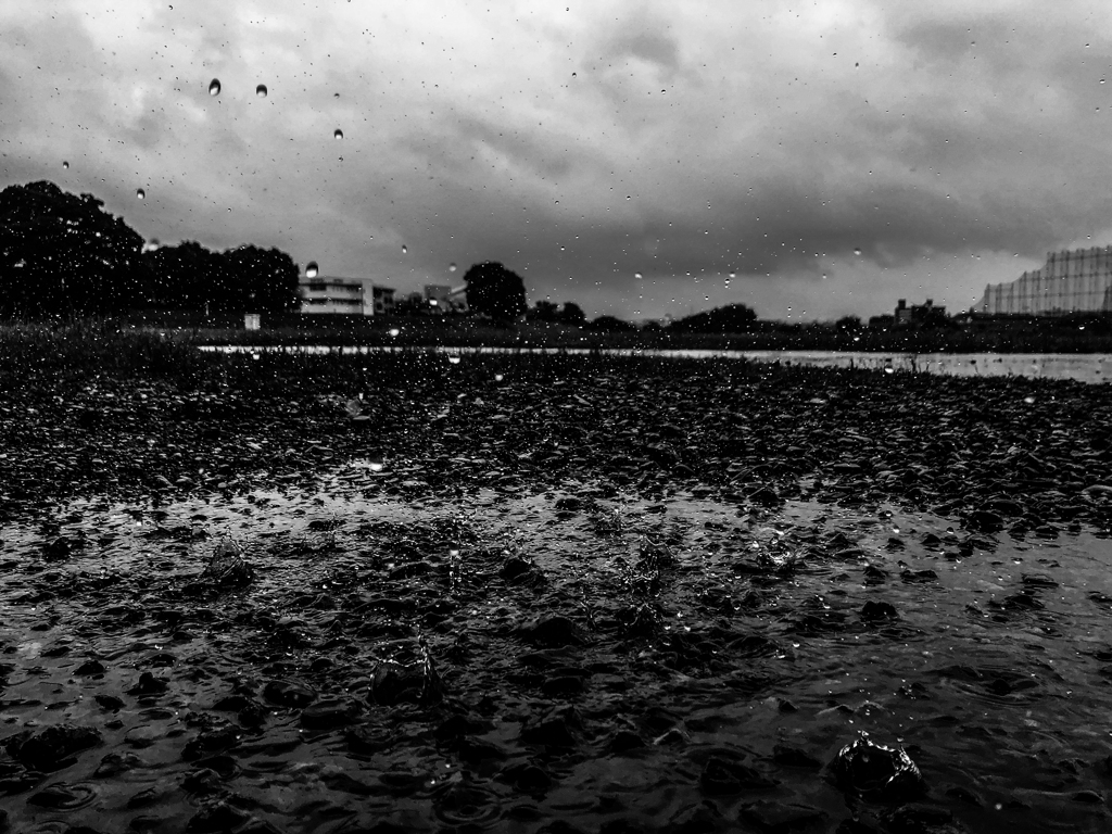 raindrops