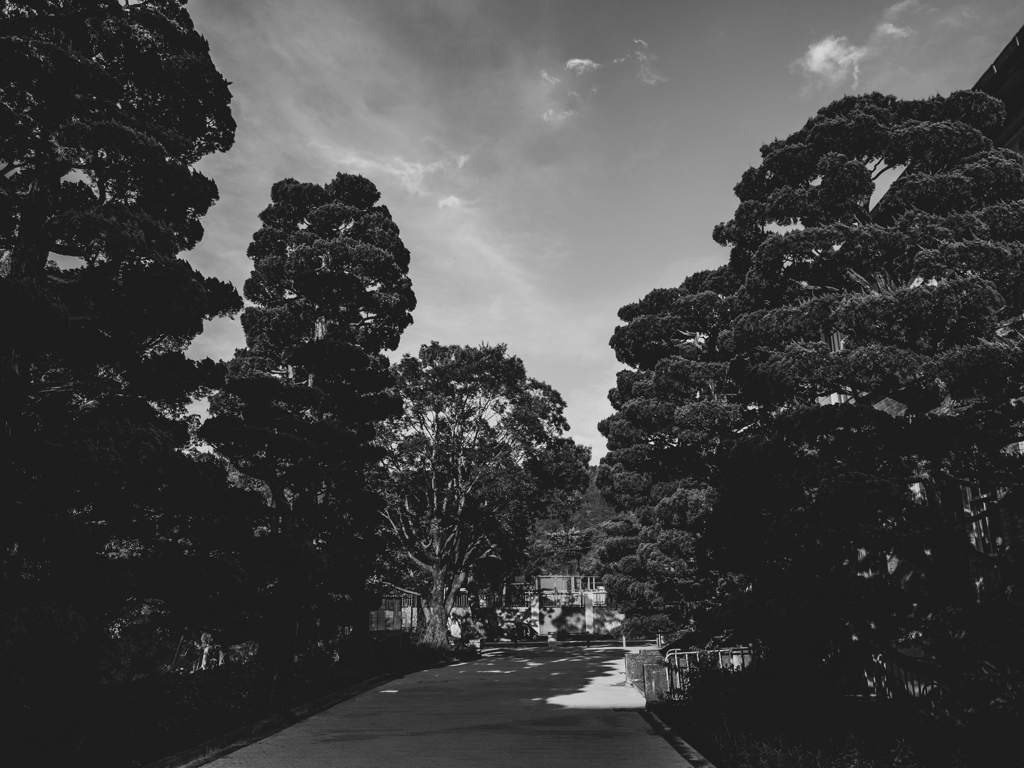 京都市美 #2