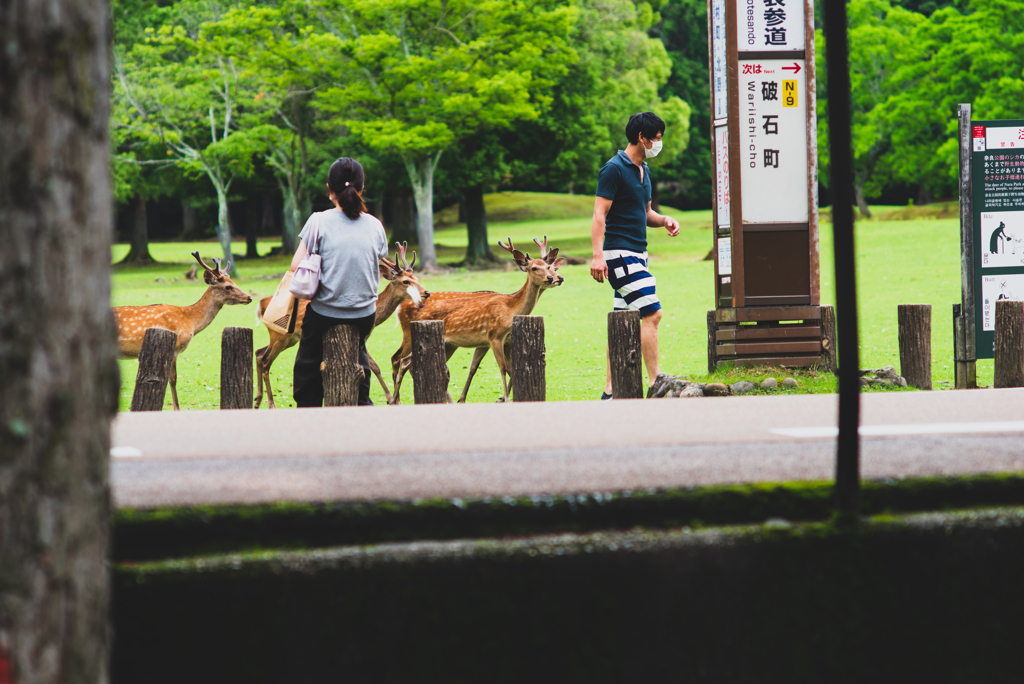 人気者はつらい