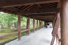 初秋の東福寺 #1