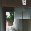 路地を覆う蔦 #1