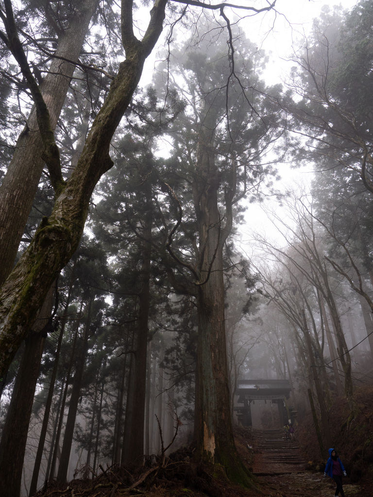 初冬の愛宕山 #1