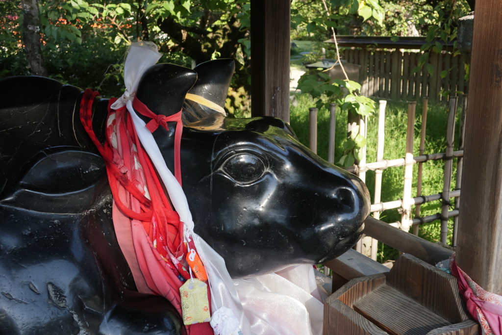 朝の天神さん
