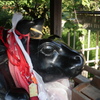 朝の天神さん