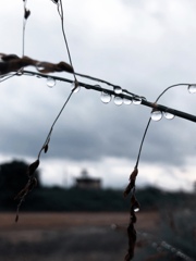 雨上がりの河畔