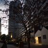 夕暮れの街 #1