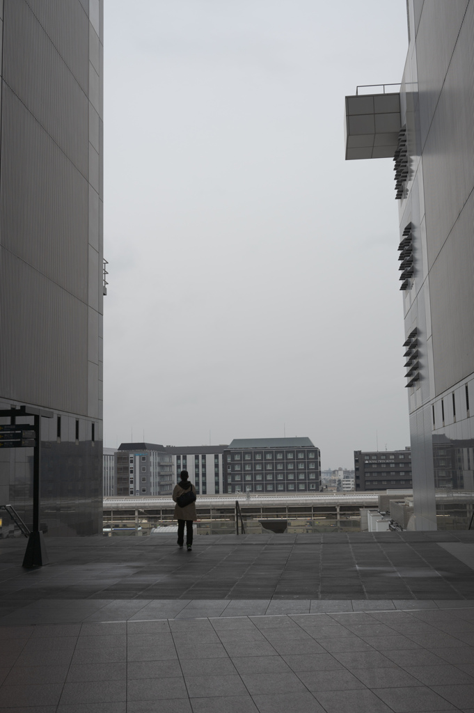霧雨のほうへ