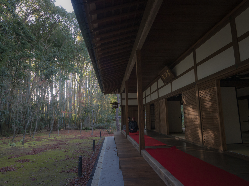 初冬の高桐院 #6