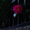 抜け道 #5