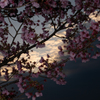 堤の夕べ