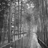 got lost in Inariyama #6