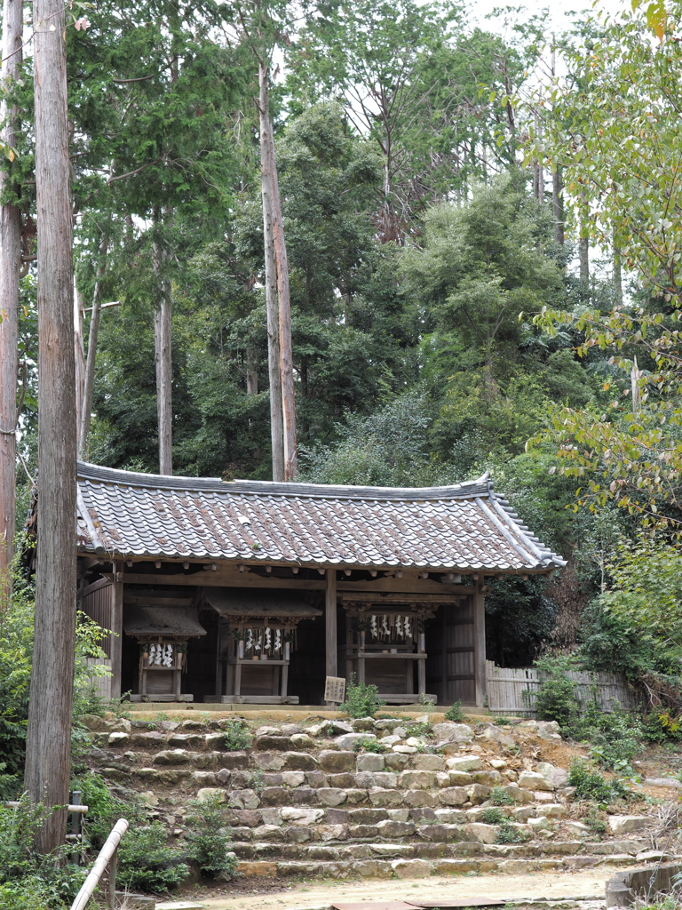 大山崎から天王山へ #7