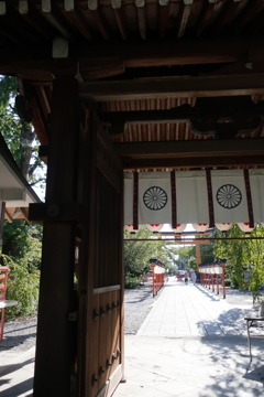 平野神社にて