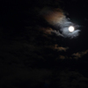 夜の瞳