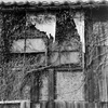 春の舞鶴 #4